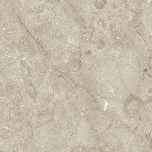 Découvrez la beauté intemporelle avec des carreaux en porcelaine de 600x600 mm fabriqués en Inde, design frais, qualité intemporelle, finition moderne. - Product Image 4