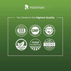 Daily Health Boost Superfood Smoothie Mix Poudre riche en antioxydants avec des baies Graines vertes pour tout le monde Femmes enceintes - Product Image 4