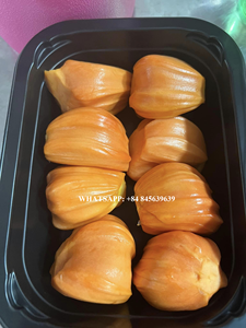 Venta al por mayor de alta calidad precio competitivo Frozen Jackfuit dulce natural vendido entero o pelado de Vietnam - Product Image 2