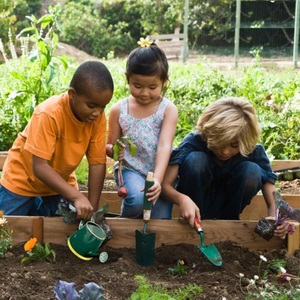 Bidon d'eau en métal décoratif décor à la maison articles de jardin couleur verte enduit de poudre peint à la main plante verte arrosoir fournitures - Product Image 5