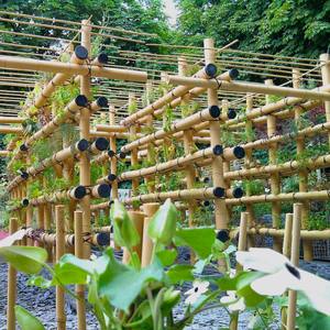 Poteaux de bambou Nature Poteaux de bambou brut Poteau droit Bambou du Vietnam - Product Image 3