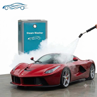 Nettoyeur Vapeur Électrique Certifié CE pour Voitures avec Vapeur Continue et Remplissage Automatique d'Eau, en Acier Inoxydable 220V/380V