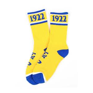 Chaussettes tricotées unisexes Sigma Gamma Rho pour l'hiver Logo de fond positionné - Product Image 2