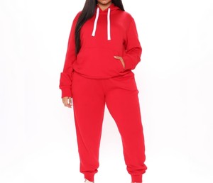 Haute qualité femmes pull survêtement léger tenue décontracté anti-rides prix abordable pull survêtement avec les meilleurs designs - Product Image 1