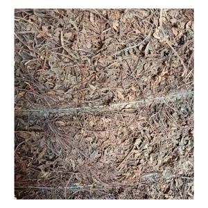 Grosir CHINENSIS PLATOSTOMA daun PALUSTRE/rumput JELLY/rumput kering JELLY NON GMO / + 84 903708802