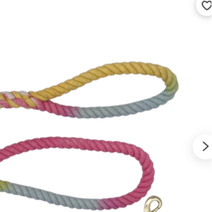 Rainbow Ombre Cotton Rope <b>Dog</b> <b>Leash</b> - Product Image 1