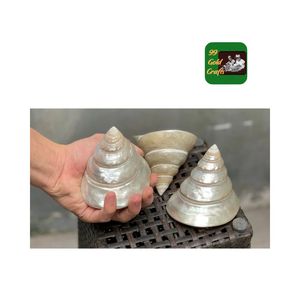 Ngọc Trai Tự Nhiên Cua Biển Hình Nón Vỏ Sang Trọng Trắng Đánh Bóng Ngọc Trai Trochus <span class=keywords><strong>Cone</strong></span> Vỏ Tháp Hình Dạng Conch <span class=keywords><strong>Seashell</strong></span> Hot Mục Trang Trí - Product Image 3