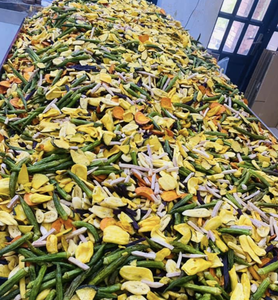 Sélection de légumes séchés d'origine vietnamienne formulée pour le développement de plats savoureux et les opérations de cuisine à grande échelle - Product Image 4