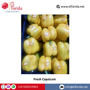 Pimiento fresco natural 100% más vendido de Egipto, pimientos de colores de calidad superior directamente del proveedor de origen - Product Image 5
