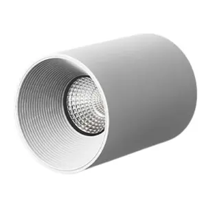 ไฟดาวน์ไลท์ MiravaDisk 12W โครเมียมอะลูมิเนียม LED แบบติดตั้งบนพื้นผิว สำหรับบ้าน โรงแรม 220V IP44 แสงวอร์มไวท์ 3000K 7W 18W ตัวเลือกกำลังไฟ - Product Image 2