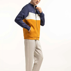 Sweat à capuche pour homme de haute qualité avec logo personnalisé, 400 g, 100 % coton, molleton lourd, poche, coupe classique, automne - Product Image 4