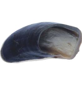 Sabots de vache naturels pour chiens Friandises à mâcher de qualité supérieure pour des dents et des gencives saines - Product Image 1