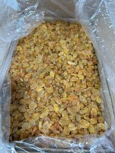Uva Seca Natural de Vietnam Producida a partir de Frutos Maduros para Ingredientes Alimenticios y Distribución al por Mayor - Product Image 6
