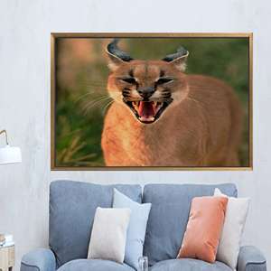 Lienzo impreso elegante: arte de pared con diseño de caracal salvaje para decoración del hogar, 1 pieza: con marco dorado - Product Image 1