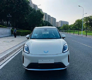 SUV automatique W ling 2025 avec sièges en cuir, batterie au lithium, équipements haut de gamme - Product Image 1