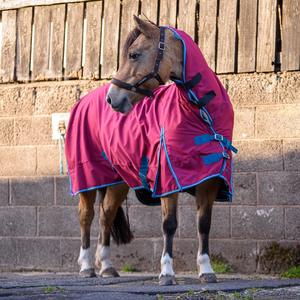 Alfombra de caballo de medio cuello personalizada ecuestre a precio asequible 1200D Ripstop 300g manta aislada de asistencia de invierno fabricante OEM a granel - Product Image 2