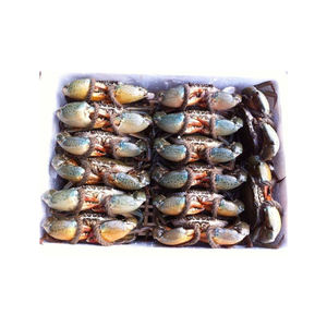 Frozen Crab Meat Steaks Fresh Mud Crab Food <b>Seafood</b> Snacks Item Box Packaging Food and Beverage Kind - Product Image 6