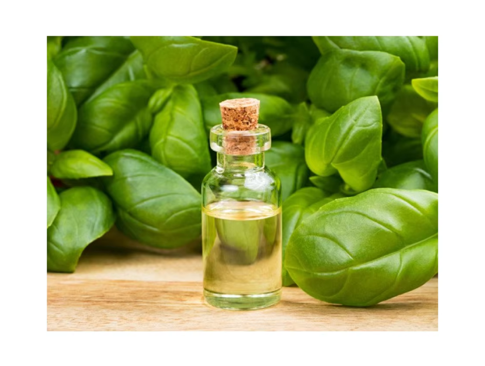 สีเหลืองอ่อน