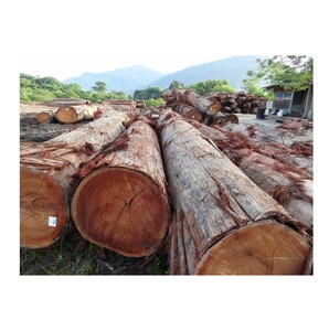 Topkwaliteit Rood Meranti Hout, Meranti Houtblokken Leverancier, Meranti Houtfabrikant