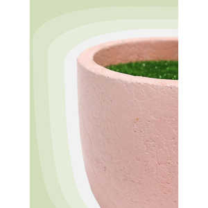 Articles essentiels officiels A3shop : Pots ronds en tourbe - Product Image 3