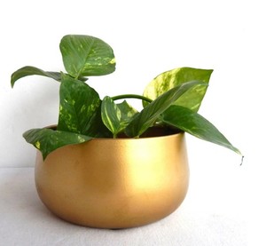 Elegante maceta de metal dorado para decoración interior y exterior - Product Image 3