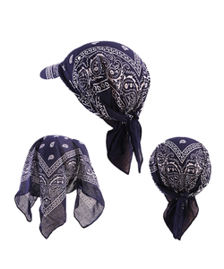 Casquettes de sport style INS, bonnets en coton à imprimé paisley, bandana, casquette de baseball, printemps automne, casquettes de sport nouées pour l'extérieur - Product Image 2