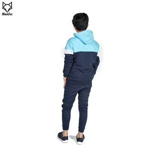 Conjunto Deportivo Informal para Niños, Sudadera con Capucha y Pantalones Deportivos en Bloques de Color, Traje Deportivo de Felpa Francesa para Niños - Product Image 3