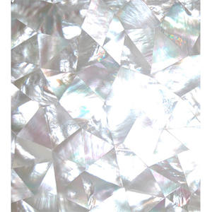 Mosaico de Incrustaciones de Azulejos Blancos de Nácar, Incrustaciones de Conchas Marinas, Joyería de Conchas, Motivo de Concha Labial, Mosaico de Nácar - Product Image 3