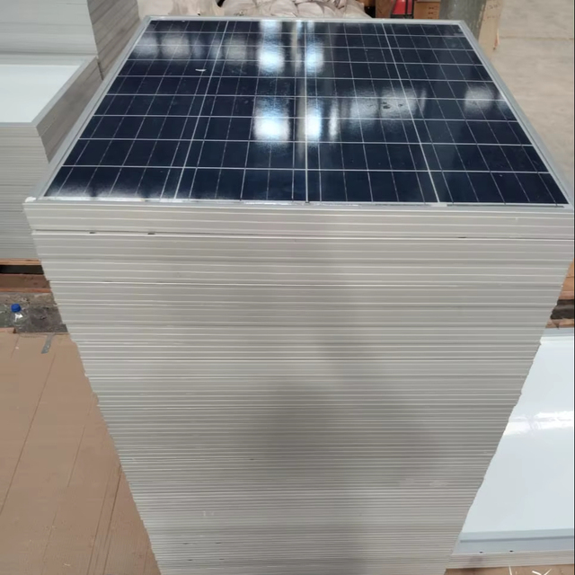 Sunlight 40W Monocrystalline PERC Solar Module 465x665mm Size 125x125mm Cell 25% Efficiency 2023 India