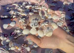 Pince à cheveux coquillage faite à la main Vietnam accessoire de cheveux naturels Boutique ornement de mode choix de cadeau durable écologique - Product Image 5