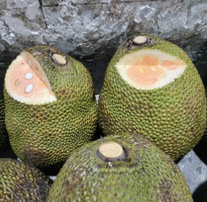 Jackfruit Fresco de Origen Vietnamita Elaborado con Pulpa de Fruta Madura para la Elaboración de Postres, la Preparación de Bebidas y la Distribución Comercial - Product Image 4