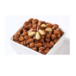 export quality hot sale cheaper organic pine nuts suppliers pine