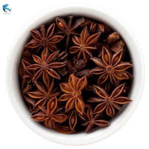 ANIS ÉTOILE NATUREL POUR ASSAISONNEMENT DE L'EXPAD VIETNAM ÉPICES D'ANIS ÉTOILE POUR ARÔME ALIMENTAIRE - Product Image 3