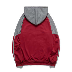 Conjunto de Sudadera con capucha de color sólido de invierno barato con logotipo personalizado para hombre, de alta calidad Unisex jersey liso, traje de pantalones de chándal - Product Image 5