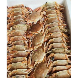 Global Seafood Supplier / Frozen <b>Crab</b> Seafood Bulk Supply - Product Image 5