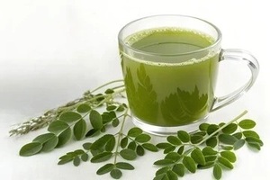 Moringa Leaves <b>Tea</b> Bags By Best Exporter - Product Image 5