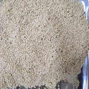 Graines de sésame pour garniture de pain et collations Produit agricole de haute qualité - Product Image 6