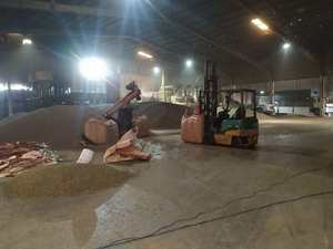 Hương thơm cay Việt Nam Gia vị tiêu đen bán buôn chất lượng tốt nhất <span class=keywords><strong>500gl</strong></span> 550gl 600gl 5mm bột sạch/<span class=keywords><strong>faq</strong></span>/Asta đậm, xuất khẩu - Product Image 5