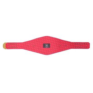 2025 Cinturón DE TÍTULO DE LOS Chicago Cubs de alta calidad Cinturones de título de campeonato de peso pesado de fabricación de alta calidad - Product Image 5