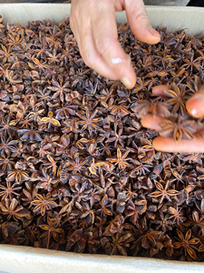 Anís Estrellado de Vietnam en Oferta, Anís Entero Seco Natural, Suministro de Fábrica, Exportación, Especias al por Mayor - Product Image 3
