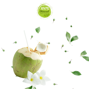 Dulzura Pura, Coco Fresco Vietnamita, Alimento Natural Premium para la Salud, 12-13 cm, Producto Agrícola - Product Image 3