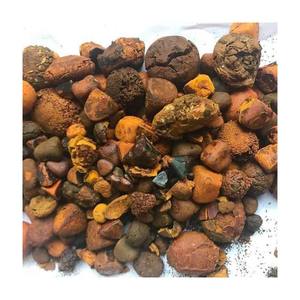 Gallines de bœuf de qualité supérieure disponibles et pouvant être expédiées dans le monde entier / Gallines de bovin/bœuf/vache 80/20 en vente - Product Image 2