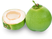[Oferta 2024] Coco Fresco Joven, Fruta Tropical, Coco Entero FRESCO de Ben Tre, Vietnam