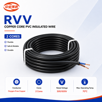 Câble en cuivre flexible RVV 2*2,5 mm, 600V, isolé PVC, gaine isolante, pour connexion électrique intérieure et extérieure des bâtiments