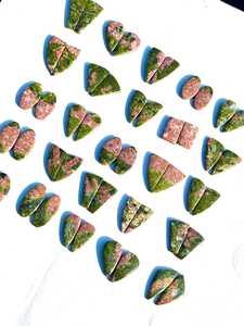 Vente en gros Unakite Cabochon Paire de pierres précieuses Paires assorties naturelles pour boucles d'oreilles et fabrication de bijoux - Product Image 6