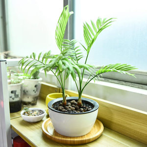 Lot de 2 soucoupes en bambou de 10.5 \ "Outils pour fruits et légumes de qualité supérieure - Product Image 2