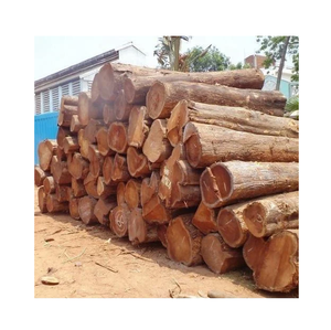 Gỗ tròn Meranti cho bột giấy và giấy-Tẩy trắng và chưa tẩy trắng - Product Image 2