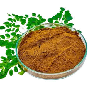 Produit phare 2026 : Poudre de feuilles de Moringa sauvage indien riche en protéines, extrait végétal, vente en gros en vrac, conditionnement en bouteille - Product Image 5