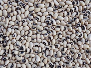 GRANDS HARICOTS BLANCS | ORIGINE DU VIETNAM | POUR L'INDUSTRIE DE LA CONSERVE - Product Image 4