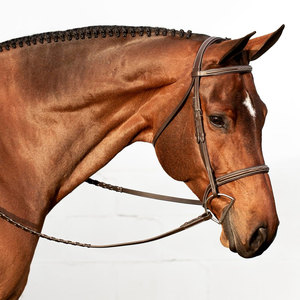 Bride de chasseur cousue fantaisie rembourrée réglable avec culotte de rênes Bride anglaise de qualité supérieure avec rembourrage confortable, élégante - Product Image 2